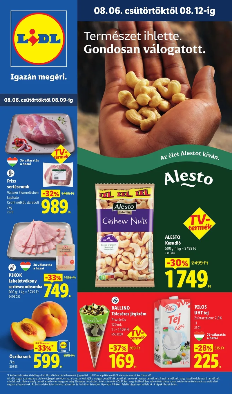 Lidl Akciós újság – 32. hét – címlap