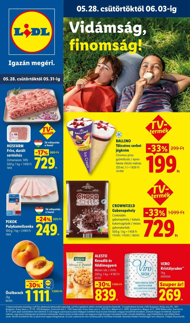 Lidl Akciós újság – 22. hét – címlap