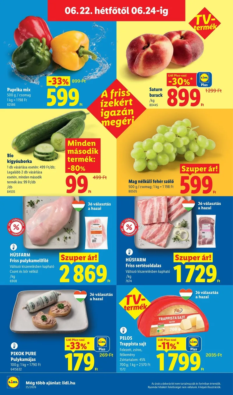 Lidl Akciós újság – 25. hét – 66. oldal